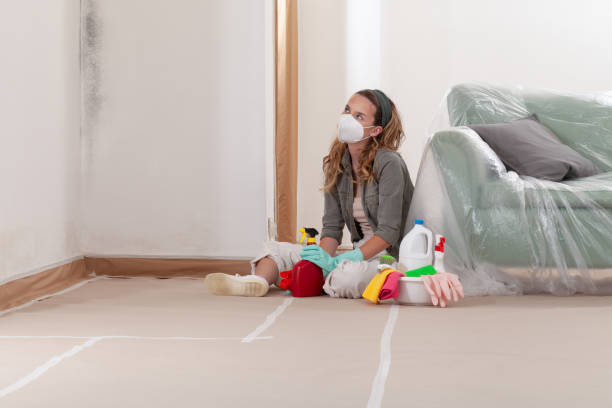 Reliable Mold Cleanup contractor in Kissimmee, FL by WQB Mold Removal